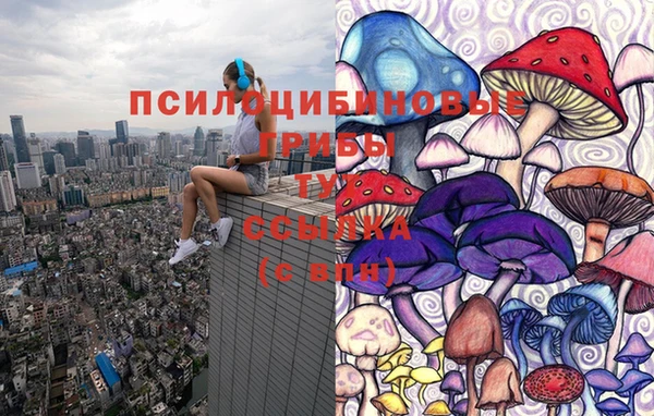 прущие грибы Покров
