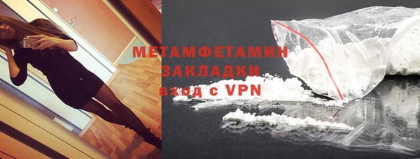 прущие грибы Покров