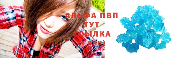 эйфоретик Покачи
