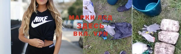 эйфоретик Покачи