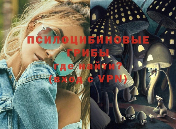 эйфоретик Покачи