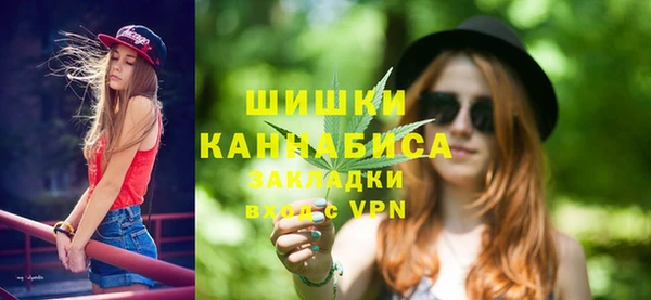 прущие грибы Покров
