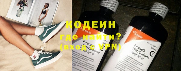 эйфоретик Покачи