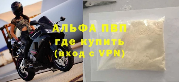 прущие грибы Покров