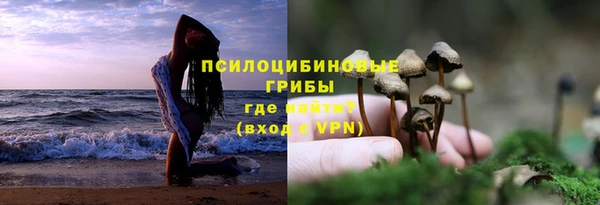 эйфоретик Покачи