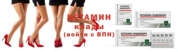 прущие грибы Покров
