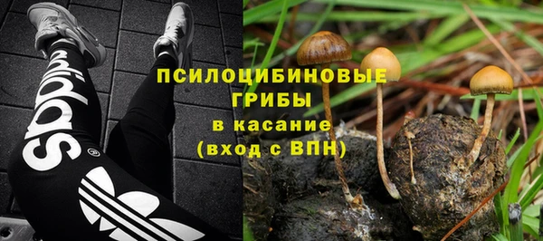 прущие грибы Покров
