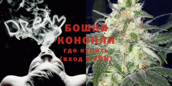 эйфоретик Покачи