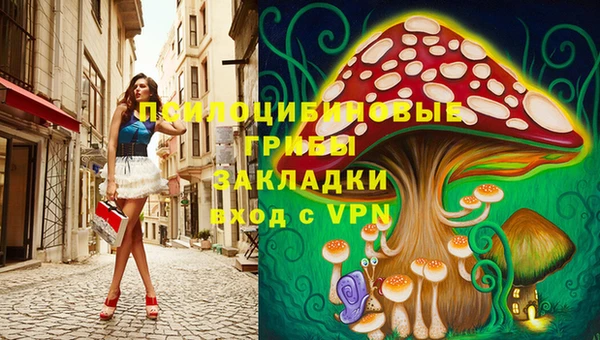 прущие грибы Покров