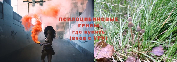 эйфоретик Покачи