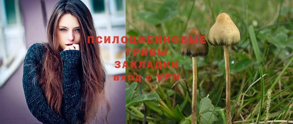 прущие грибы Покров