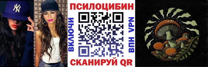 Галлюциногенные грибы мухоморы  Купить закладки  Снежногорск 